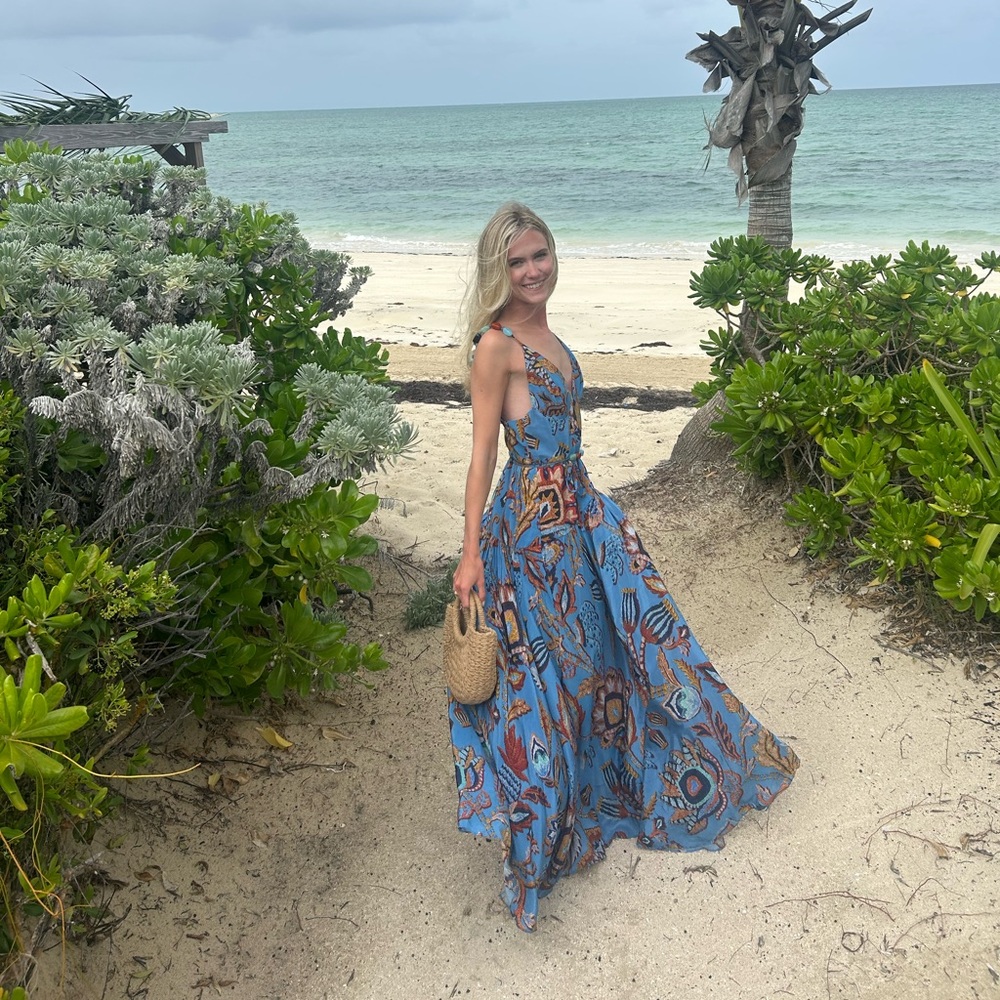 Blue Tapestry maxi dress